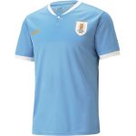 camiseta-puma-uruguay-2022-5