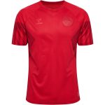 camisetas-hummel-dinamarca-2022-4