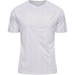 camisetas-hummel-dinamarca-2022-7
