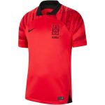 camisetas-nike-corea-del-sur-2022-2