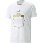 camisetas-puma-serbia-2022-3